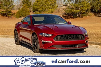 2019 Ford Mustang EcoBoost