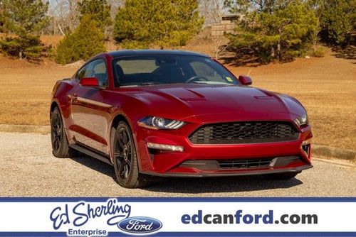 2019 Ford Mustang EcoBoost