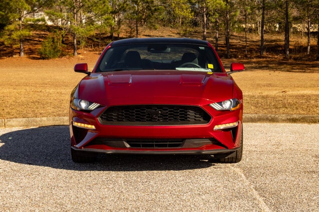 2019 Ford Mustang EcoBoost