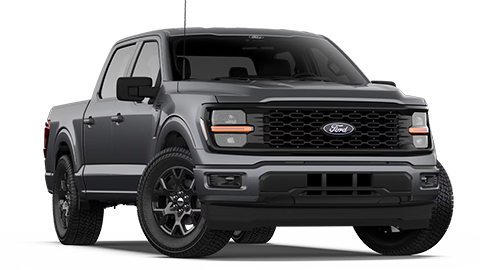 Ed Sherling Ford Inc in Enterprise AL